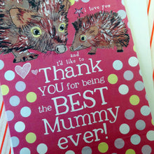 Load image into Gallery viewer, Mummy hedgehog (AP659)