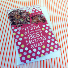 Load image into Gallery viewer, Mummy hedgehog (AP659)