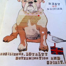 Load image into Gallery viewer, Best of British (AP430)