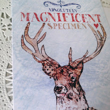 Load image into Gallery viewer, Magnificent stag (AP475)
