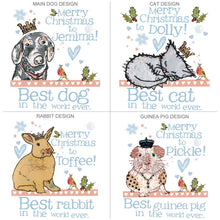 Load image into Gallery viewer, Personalised Pet Christmas Sack