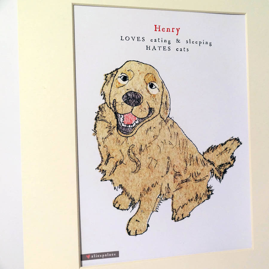 Personalised Pet Personality Portrait